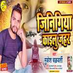 Jinigiya Kailu Zahar (Bhojpuri)