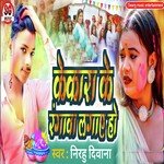 Kekra Ke Rangwa Lagaye Ho