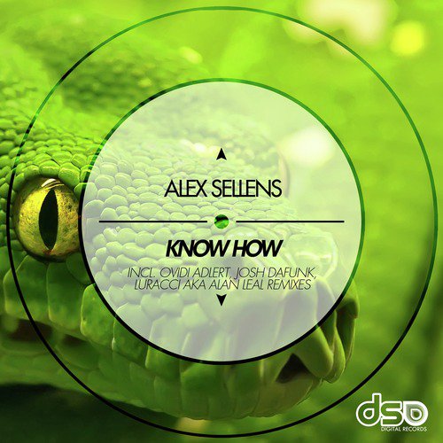 Know How (Josh DaFunk Remix) cover art