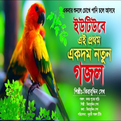 Kobor Purer Bari