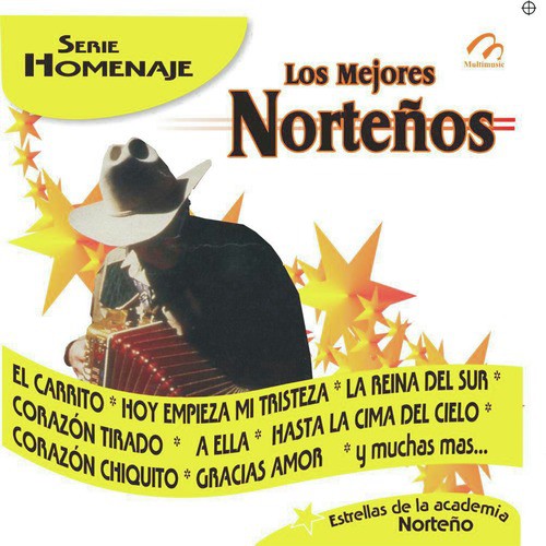 Los Mejores Norteños - Serie Homenaje_poster_image