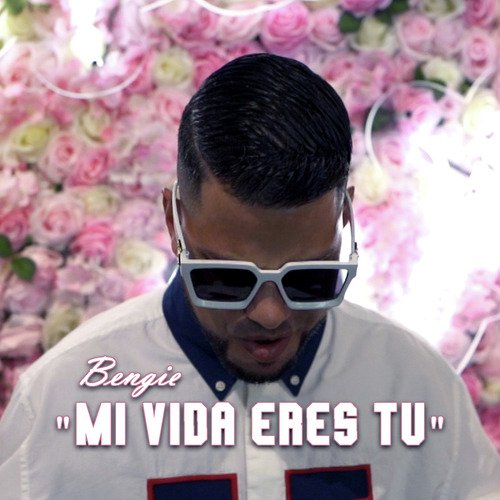 Mi Vida Eres Tu_poster_image