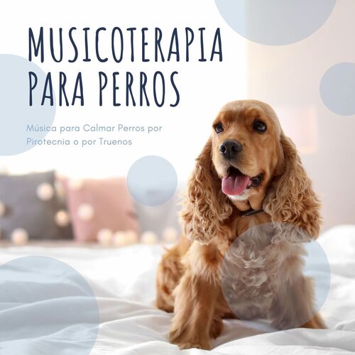 Musicoterapia para Perros cover art