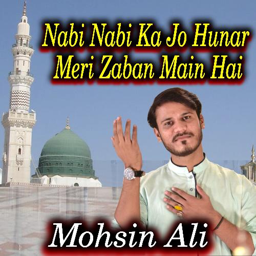 Nabi Nabi Ka Jo Hunar Meri Zaban Main Hai - Single