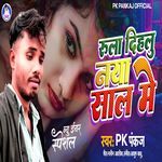 Naya Sal Me Rula Dehalu