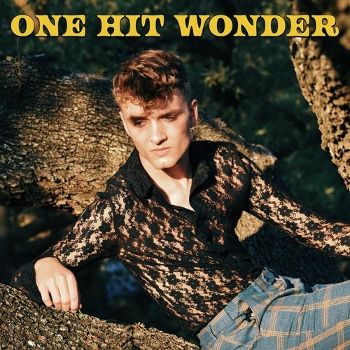 One Hit Wonder Lyrics - Sean Michael Mitchell - Only on JioSaavn