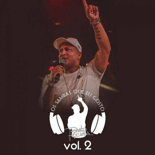 Os Sambas Que Eu Gosto, Vol. 2