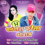 Palangiya Karela Awaj - Single