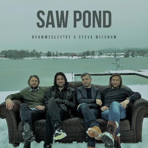 Saw Pond_poster_image