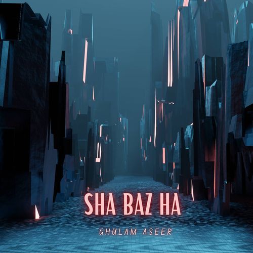 Shaar E Zalim Ta