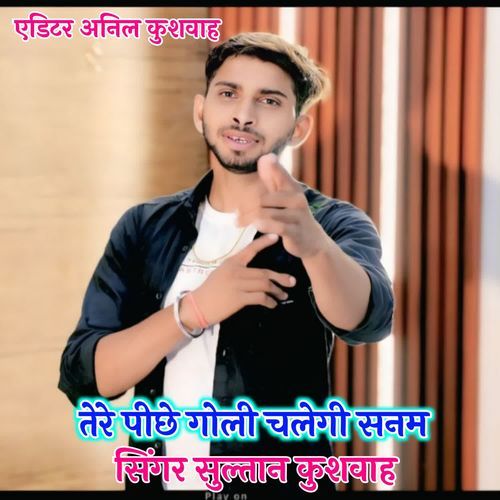 Tere Pichhe Goli Chalegi Sanam