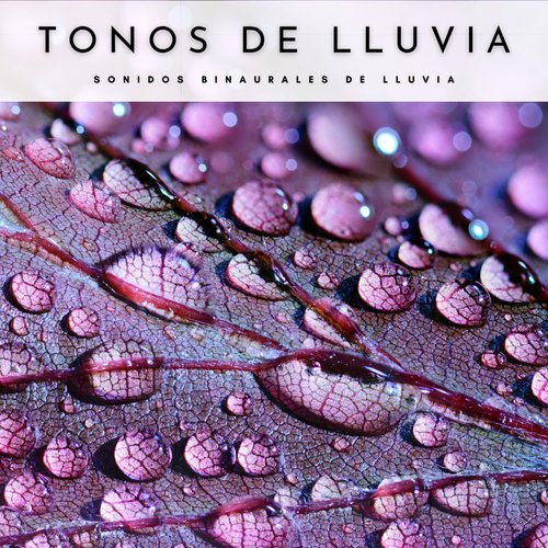 Tonos De Lluvia: Sonidos Binaurales De Lluvia_poster_image