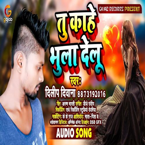 Tu Kahe Bhula Delu (Bhojpuri Song)