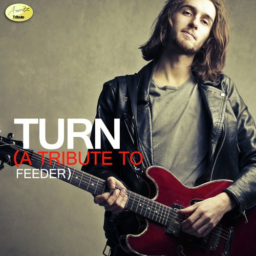 Turn (A Tribute to Feeder) cover art