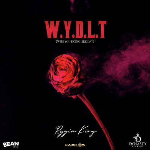 W.Y.D.L.T (Who You Doing Like That)