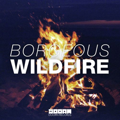 Wildfire (Radio Edit)