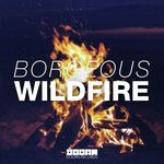 Wildfire (Radio Edit)