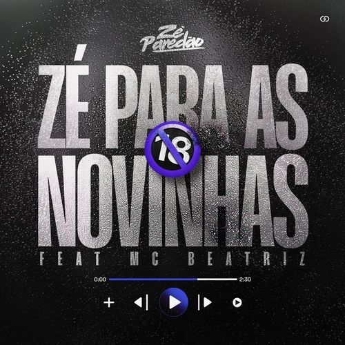 Zé Para As Novinhas_poster_image