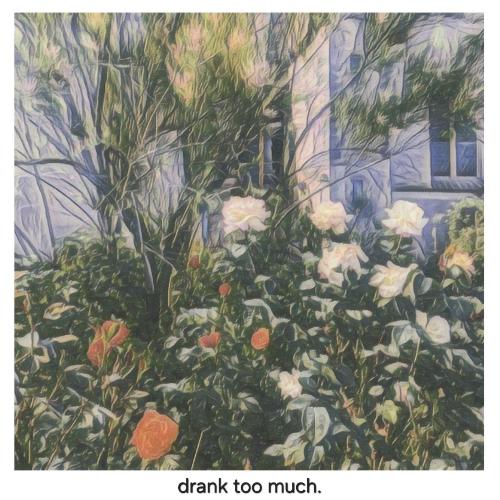 drank too much_poster_image