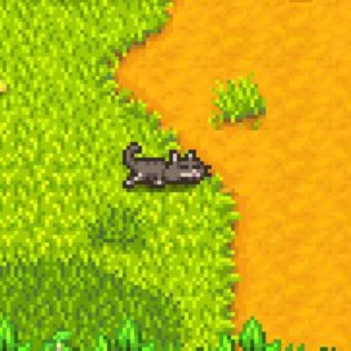 sleepy cat valley