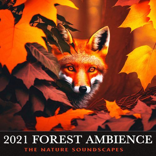 Organic Nature Sounds cover art