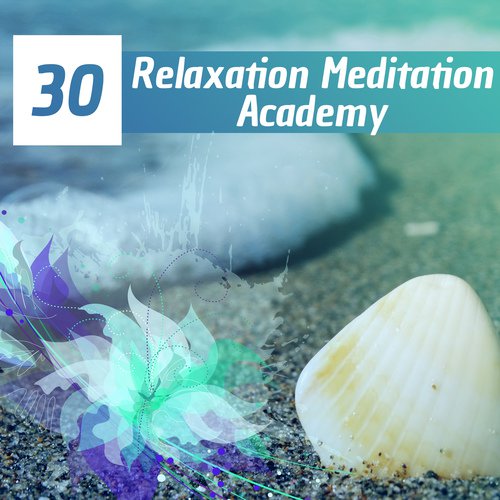 30 Relaxation Meditation Academy Music
