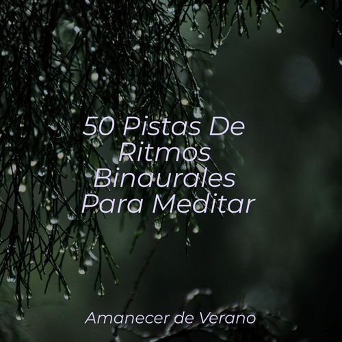 50 Pistas De Ritmos Binaurales Para Meditar_poster_image