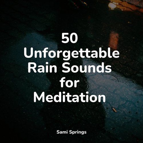 50 Unforgettable Rain Sounds for Meditation