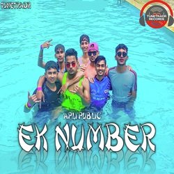 Apli Public Ek Number-JAUFAzVbWmE