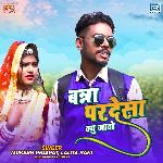 Banna Pardesa Kyu Jaavo