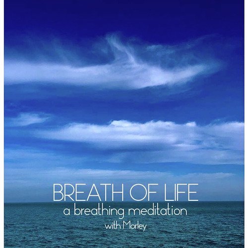 Breath of Life - A Breathing Meditation_poster_image