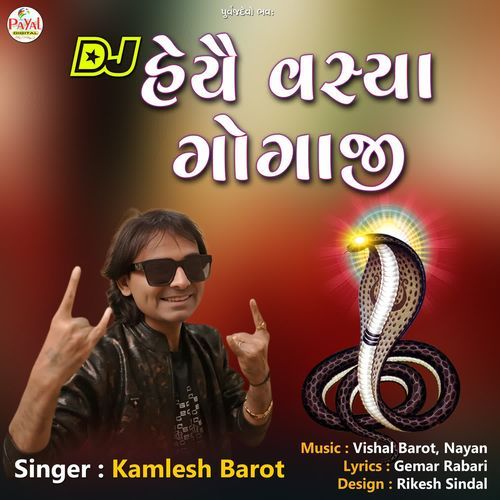 Dj Haiye Vasya Gogaji