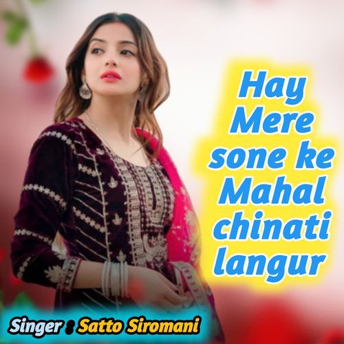 Hay Mere sone ke Mahal chinati langur