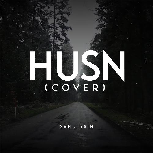 Husn cover_poster_image