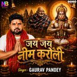 Jai Jai Neem Karoli