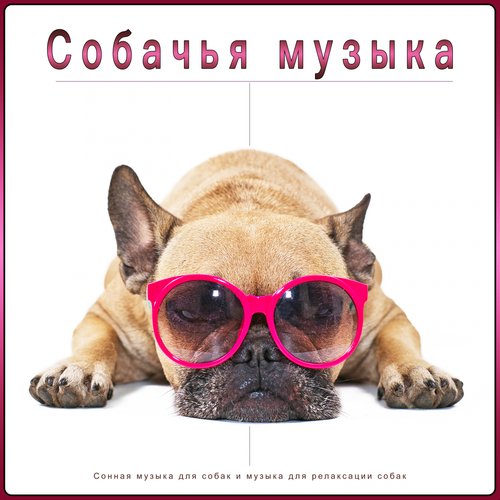 Музыка для собак cover art