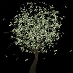 Денежное дерево