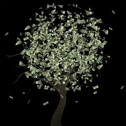 Денежное дерево