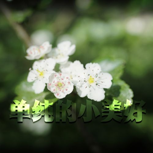 落花