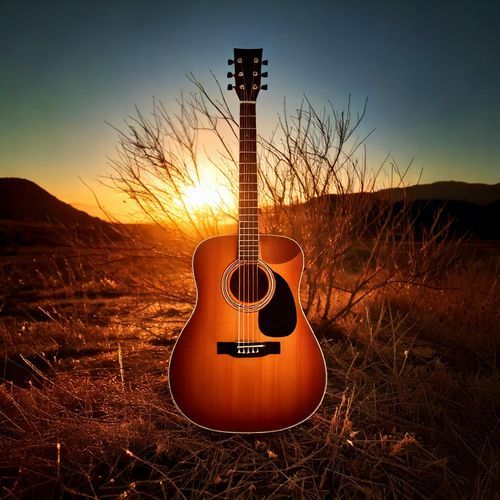 Guitar Calls Home cover art