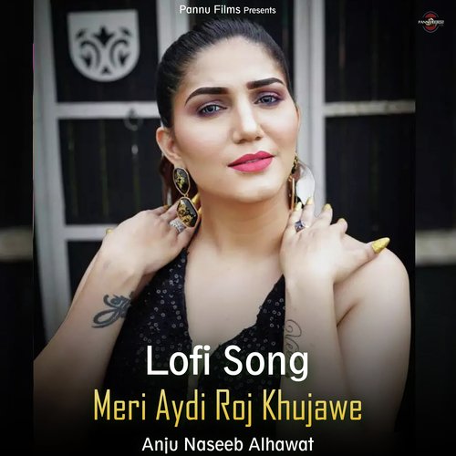 Meri Aydi Roj Khujawe - Lofi Song