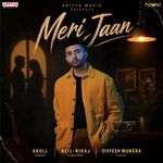 Meri Jaan (From "Meri Jaan")_poster_image