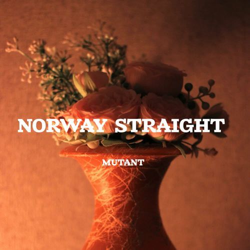 Norway Straight