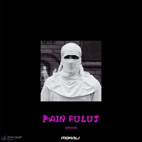 Pain Fulut (Sw&Rvb) cover art