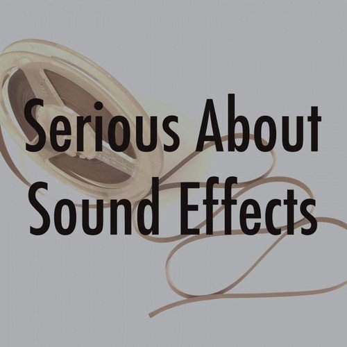 Serious About Sound Effects