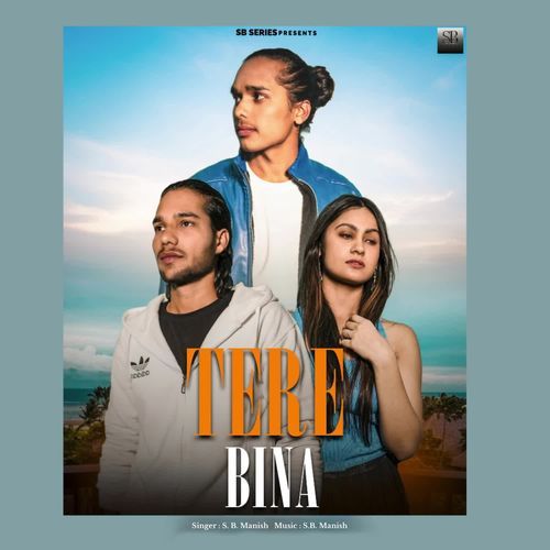 Tere Bina