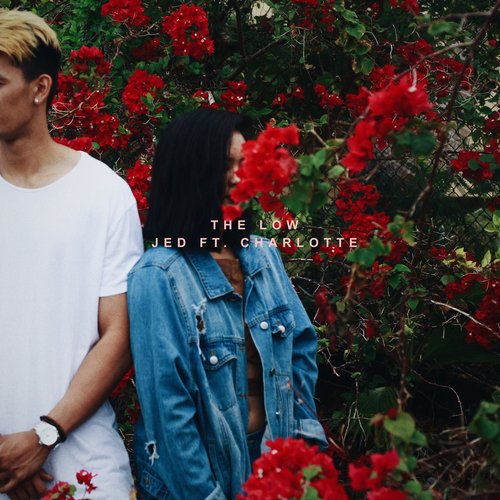 The Low cover art