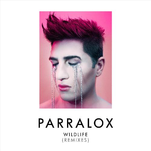 Somebody II (SIRPAUL Remix) cover art