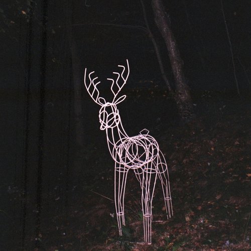 fred cover art