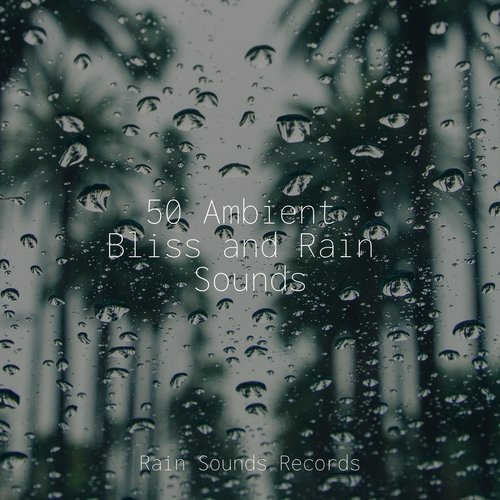 50 Ambient Bliss and Rain Sounds